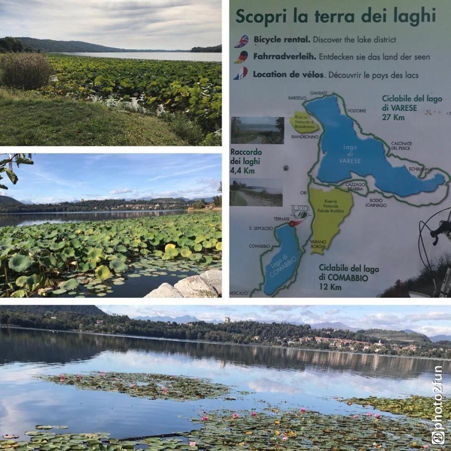 Casa Chia Lago Maggiore Laveno Dış mekan fotoğraf